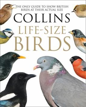 Hardcover Collins Life-Size Birds: The Only Guide to Show British Birds at Their Actual Size Book