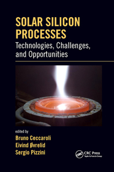 Paperback Solar Silicon Processes: Technologies, Challenges, and Opportunities Book