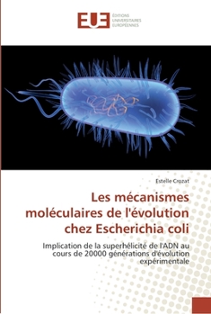 Paperback Les mécanismes moléculaires de l'évolution chez escherichia coli [French] Book