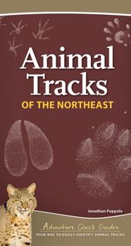 Spiral-bound Animal Tracks of the Northeast: Your Way to Easily Identify Animal Tracks Book