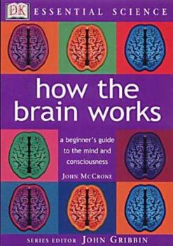 Paperback How the Brain Works Book