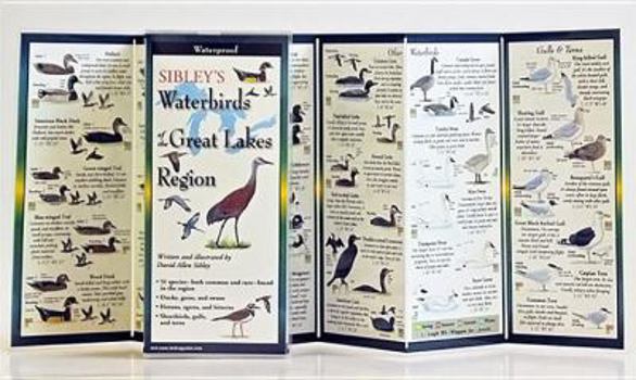 Cards Sibley's Waterbirds of the Great Lakes Region Book