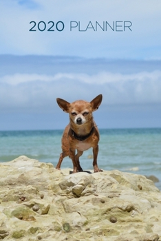 Paperback Planner: 2020 diary: Increase productivity, improve time management, reach your goals: Chihuahua on the beach: Modern artistic Book