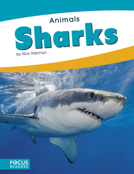 Paperback Sharks Book