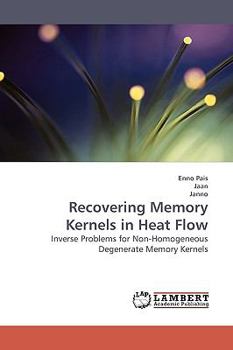 Paperback Recovering Memory Kernels in Heat Flow Book