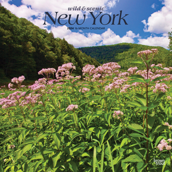 Calendar New York Wild & Scenic 2024 Square Book
