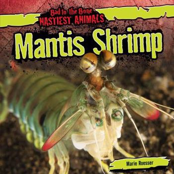 Mantis Shrimp - Book  of the Bad to the Bone: Nastiest Animals
