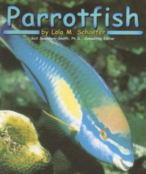 Parrotfish (Ocean Life) - Book  of the Pebble Books: Ocean Life