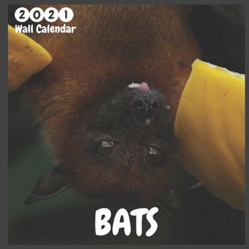 Paperback Bats 2021 Wall Calendar: Official Bats Calendar 2021, 12 Months, Bat Lovers Calendar Book