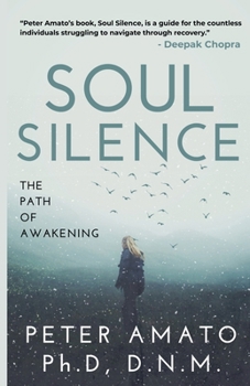 Paperback Soul Silence: The Path of Awakening Book