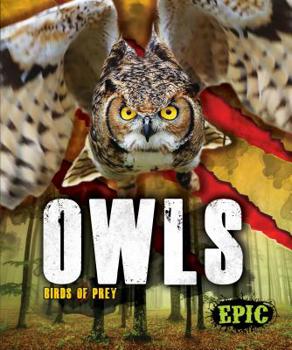 Owls - Book  of the Birds of Prey