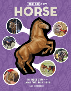 Hardcover Inside Out Horse: The Inside Story on the Animal That's Born to Run! Book