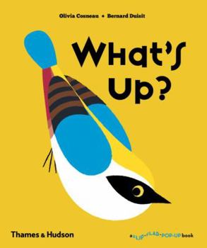 Hardcover What's Up? Book