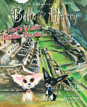 Hardcover Let's Visit Machu Picchu!: Adventures of Bella & Harry Book