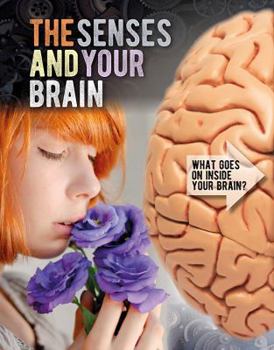 Library Binding The Senses and Your Brain Book