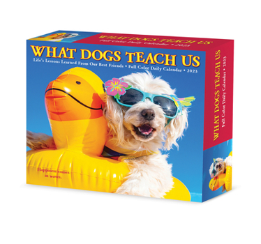 Calendar What Dogs Teach Us 2023 Box Calendar Book