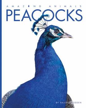 Paperback Peacocks Book