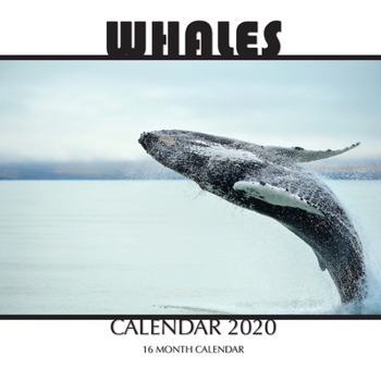 Paperback Whales Calendar 2020: 16 Month Calendar Book