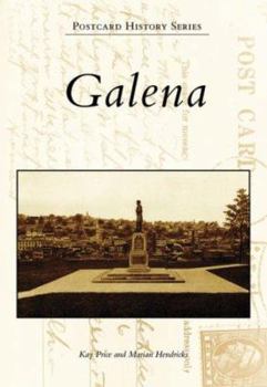 Paperback Galena Book