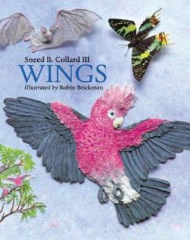 Hardcover Wings Book