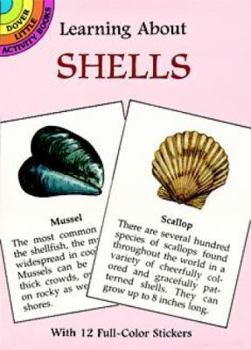 Paperback Learning about Shells [With Shells] Book