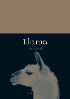 Paperback Llama Book