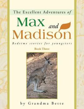 Paperback The Excellent Adventures of Max and Madison: Bedtime Stories for Youngsters Book