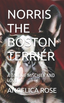 NORRIS THE BOSTON TERRIER: A TALE OF MISCHIEF AND LOVE