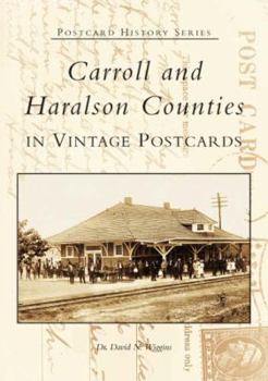 Paperback Carroll and Haralson Counties in Vintage Postcards Book