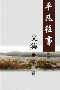 Paperback Pingfan Wangshi Collection Volume II [Multiple Languages] Book