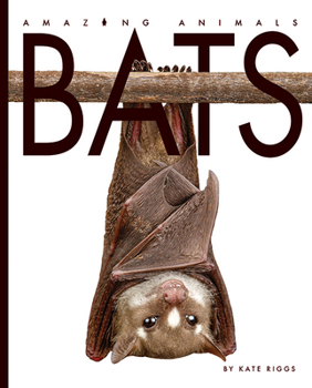 Paperback Bats Book