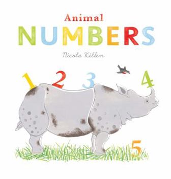 Board book Animal Numbers Book