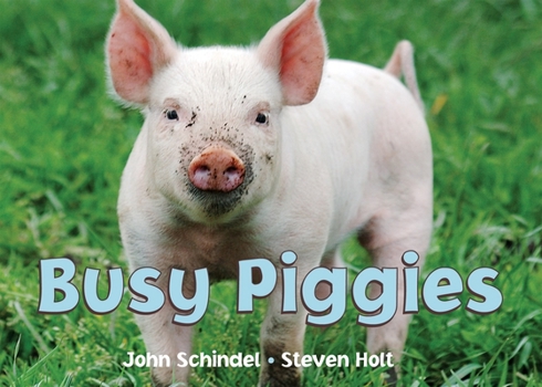 Busy Piggies - Book  of the A Busy Book