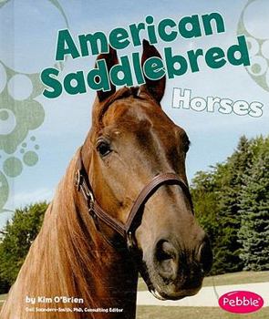 Library Binding American Saddlebred Horses Book