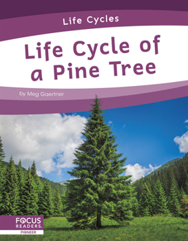 Library Binding Life Cycle of a Pine Tree Book