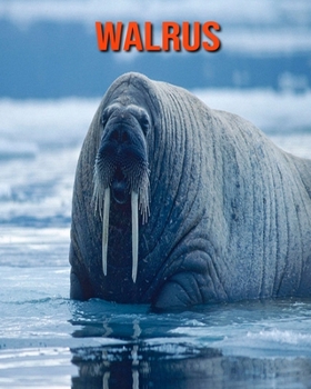 Walrus: Amazing Facts about Walrus