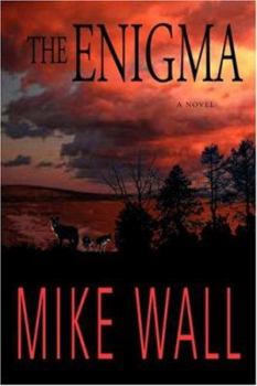 Paperback The Enigma Book