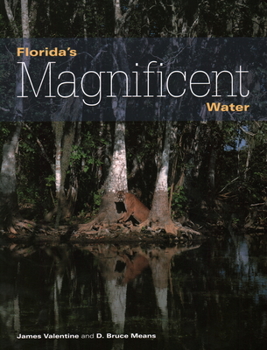 Paperback Florida's Magnificent Water Book