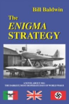 Paperback The Enigma Strategy Book