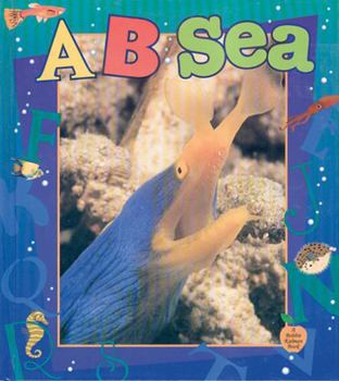 Hardcover A...B...Sea Book