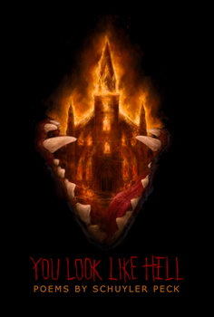 Paperback You Look Like Hell Book