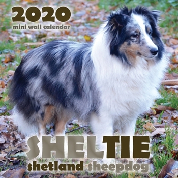 Paperback Sheltie: Shetland Sheepdog 2020 Mini Wall Calendar Book