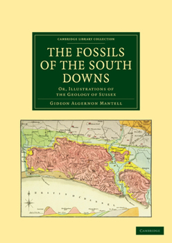 Paperback The Fossils of the South Downs: Or, Illustrations of the Geology of Sussex Book