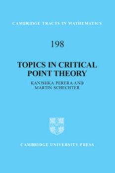 Hardcover Topics in Critical Point Theory Book