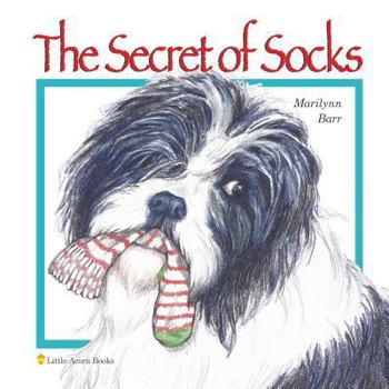 Paperback The Secret of Socks Book