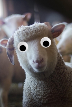 Googly Eye Sheep Journal: 100-page blank lined journal featuring a sheep with googly eyes
