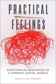 Paperback Practical Feelings: Emotions as Resources in a Dynamic Social World Book