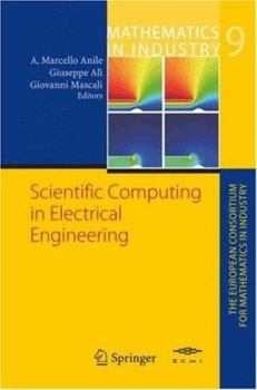 Hardcover Scientific Computing in Electrical Engineering Book