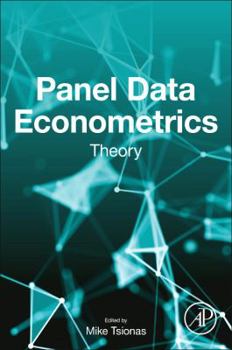 Paperback Panel Data Econometrics: Theory Book