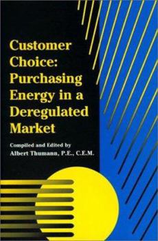 Hardcover Customer Choice: Purchasing Energy in a Deregulated Market Book